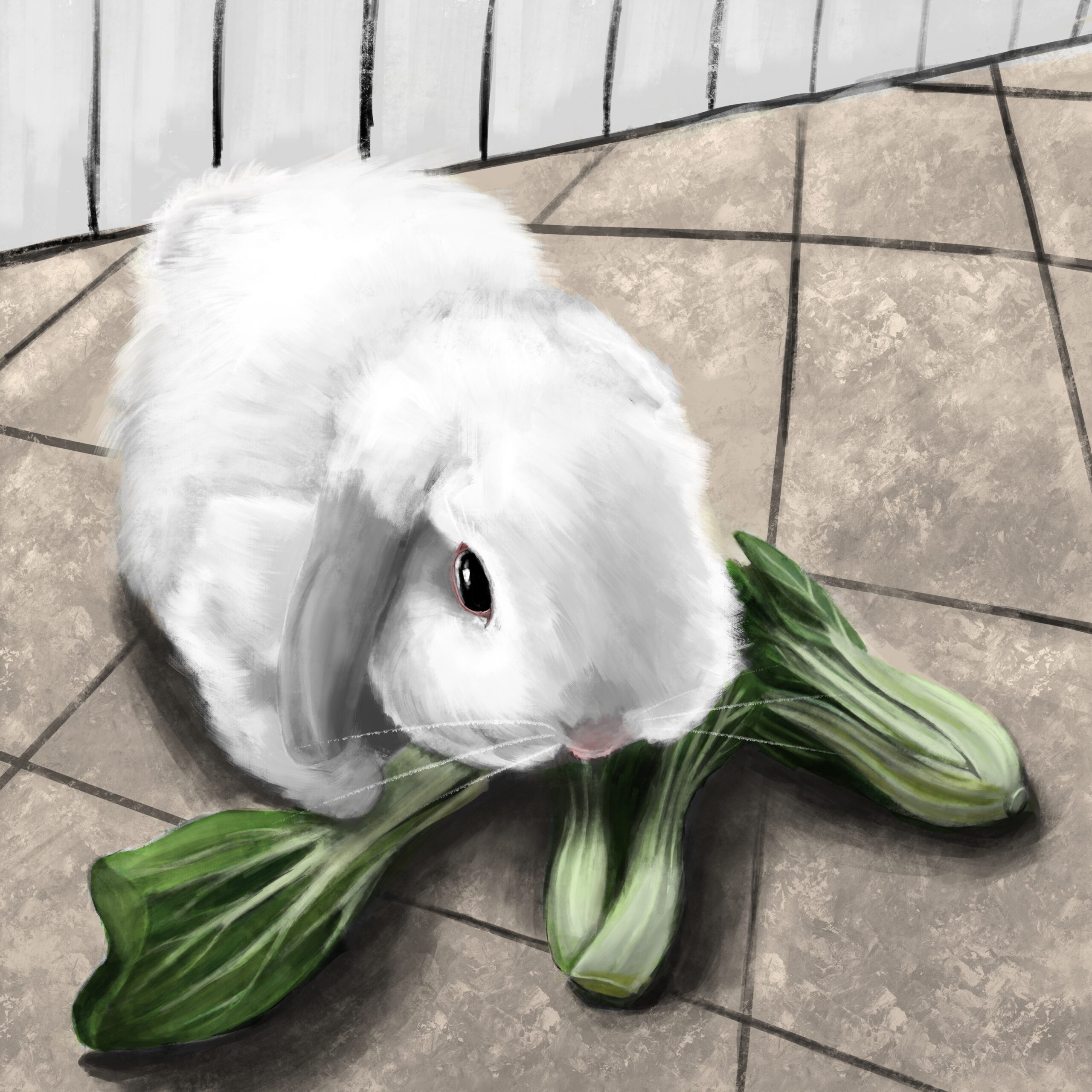 rabbit eats veggie